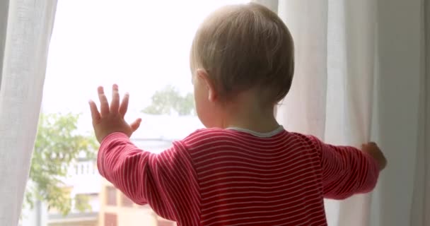 Bebé tocando ventana en casa — Vídeos de Stock