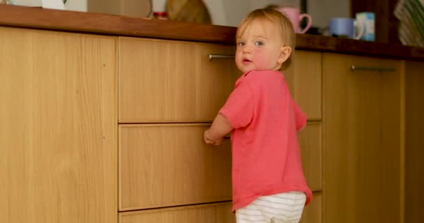 Цікава дитина стоїть на кухонній шухляді — стокове відео