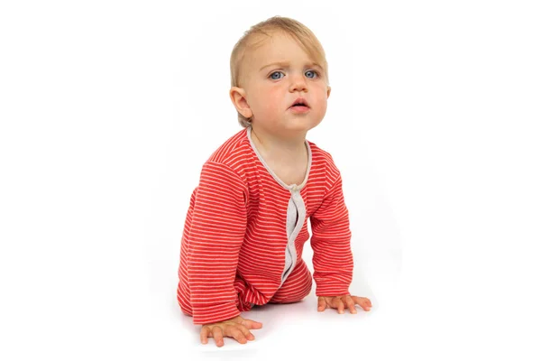 Cute baby in rompers in studio Royalty Free Stock Photos