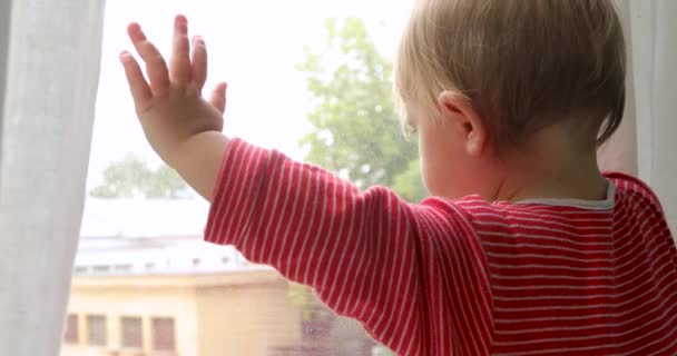 Bebé tocando ventana en casa — Vídeo de stock