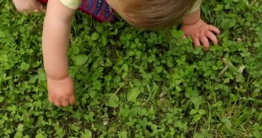 Bebek dokunmadan yeşil çim