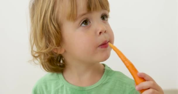 Хлопчик їсть моркву Ізольований студійний портрет — стокове відео
