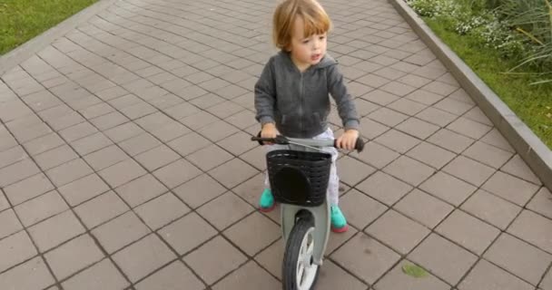 Happy toddler riding bicycle — Stok Video