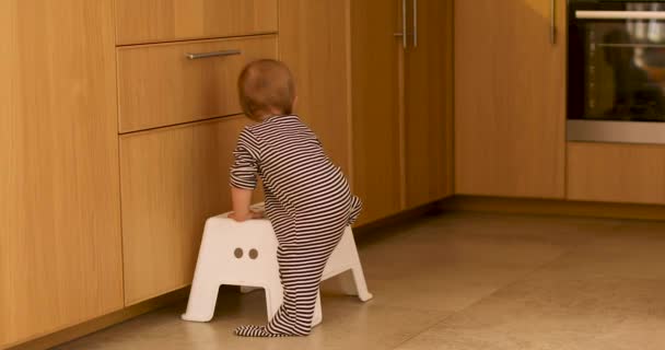 Bebé escalada paso taburete en cocina — Vídeos de Stock