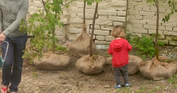 Far och son vattning plantor av träd — Stockvideo