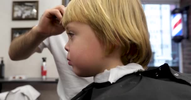 Lindo niño rubio sentado en la barbería — Vídeo de stock