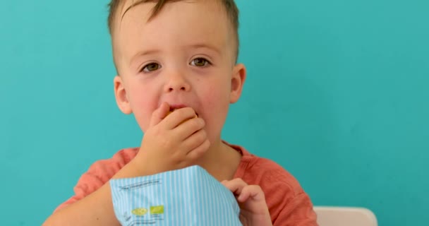 Χαρούμενο παιδί τρώγοντας μάρκες και κοιτάζοντας την κάμερα — Αρχείο Βίντεο