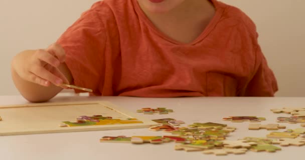 Slimme jongen verzamelt houten puzzel op tafel — Stockvideo