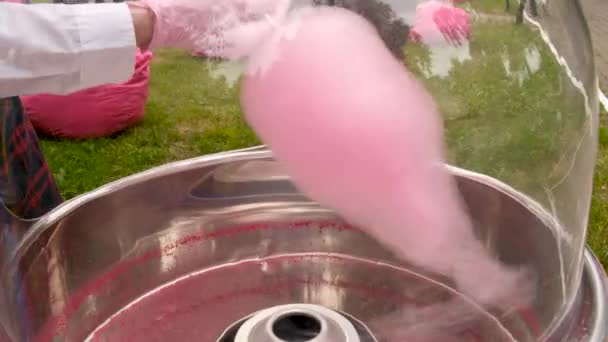 Erntehelfer machen Zuckerwatte — Stockvideo