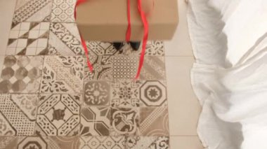 Erkekler bir kadına hediye olarak bir kutu verir.