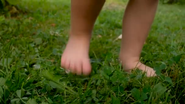 Kinderen met blote voeten stampen over het gras. Plezier buiten — Stockvideo