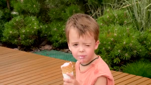 Niño comiendo helado en el parque — Vídeo de stock