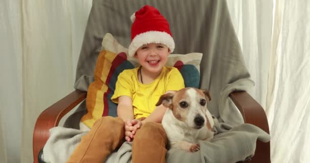 Young boy in Christmas hat and t-shirt pets dog on chair — Stock Video