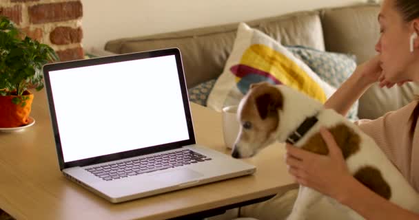 Crop freelancer met hond met behulp van laptop — Stockvideo