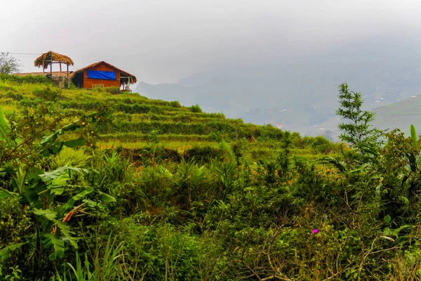 Будинок стоїть на терасі рису в Sa ПА, В'єтнам — стокове фото
