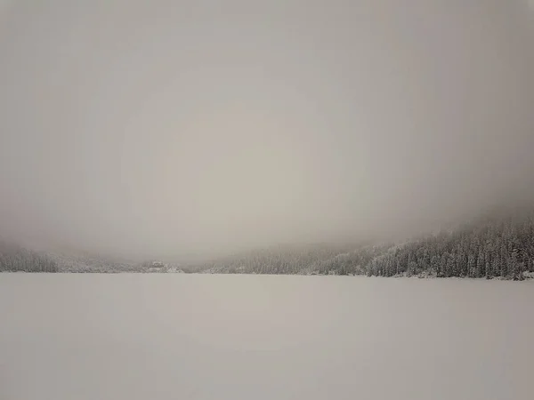 Низкая видимость из-за тумана в Татрах в Польше в зимнее время — стоковое фото
