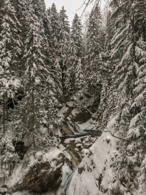 Kış Bahar Creek şelaleler kışın Tatry, Polonya beslenen
