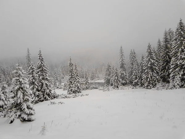 Панорама зимнего пейзажа в горах — стоковое фото