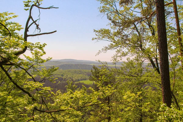 タトラ山脈、チェコ共和国、緑は松林で覆われて — ストック写真