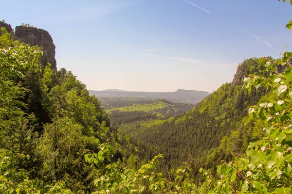 Tatra Berge mit grünen Kiefernwäldern, Tschechische Republik — Stockfoto