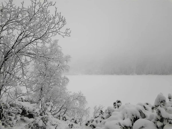 Hiver, scène de neige, Lac gelé, Zone pittoresque célèbre, Morskie Oko, Pologne — Photo