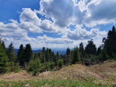 Polonya Dağları 'nda bahar manzarası, Czantoria, Polonya