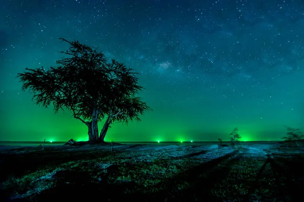 Paisagem Com Láctea Galáxia Imagens De Bancos De Imagens