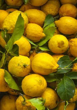Sorrento, İtalya - 7 Mart 2018: Bascket limon ile 