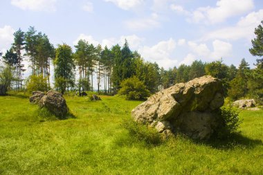 Vinnitsa, Ukrayna - 4 Ağustos 2018: Kalıntıları Werwolf (Stavka Adolf Hitler'in. Günümüzde tarihi ve anma kompleksi Nazizm kurbanlarının