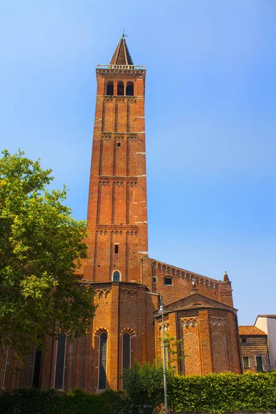 Verona Italia Junio 2018 Campanario Iglesia Santa Anastasia Verona — Foto de Stock