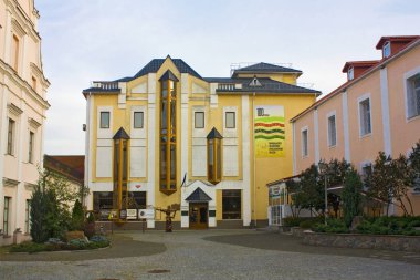 Vinnitsa, Ukrayna - 4 Ağustos 2018: Yerel Tarih Müzesi Vinnitsa