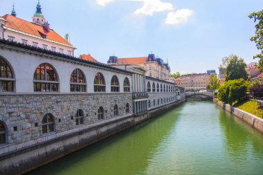 Slovenya, Ljubljana - 19 Haziran 2018: Ljubljanica Nehri'nin ve Ljubljana Merkezi Pazar