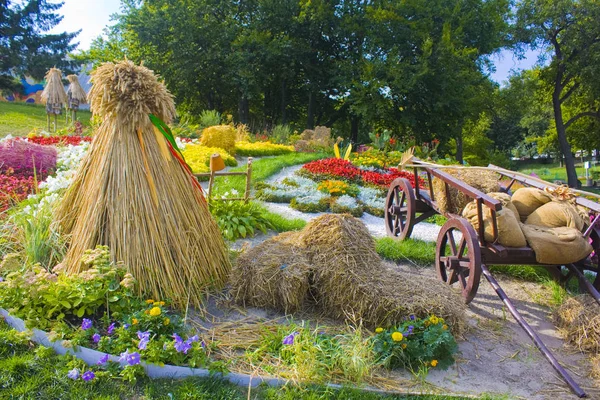 Kiev Ucrania Septiembre 2018 Exposición Flores Spivoche Pole Kiev Ucrania — Foto de Stock