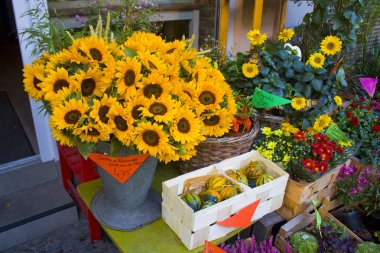 Berlin, Almanya - 25 Eylül 2018: Çiçek çiçek Shop Berlin'de Satılık