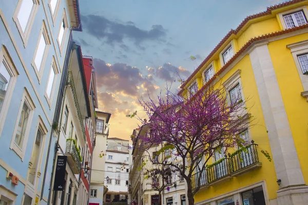 Coimbra Portugal Março 2019 Rua Pitoresca Com Casas Antigas Cidade — Fotografia de Stock