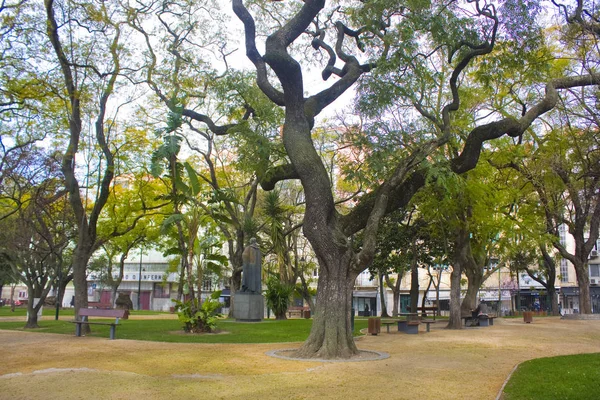 Lisboa Portugal Marzo 2019 Parque Ciudad Distrito Belem Lisboa — Foto de Stock