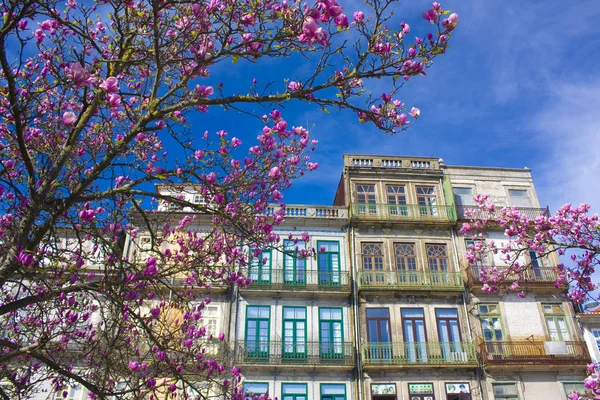 Πόρτο Πορτογαλία Μαρτίου 2019 Γραφική Αρχιτεκτονική Της Παλιάς Πόλης Στο — Φωτογραφία Αρχείου