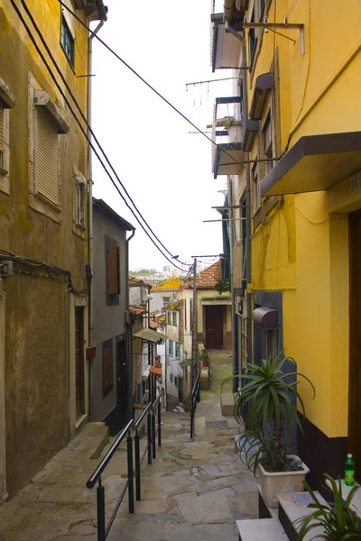 Порто Португалия Марта 2019 Года Улица Старого Города Вилла Нова — стоковое фото