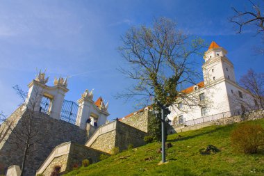 Bratislava, Slovakya-1 Nisan 2019: Bratislava Castle güneşli bir gün