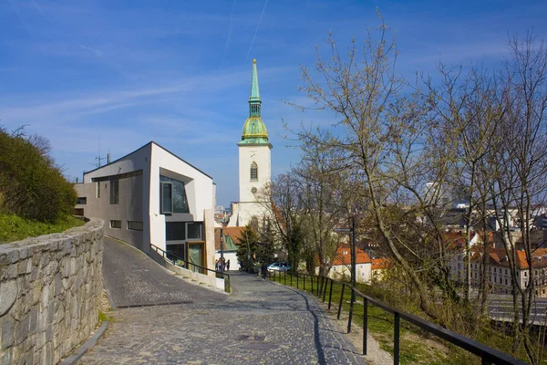 Bratislava Slowakei April 2019 Kathedrale Martin Bratislava — Stockfoto