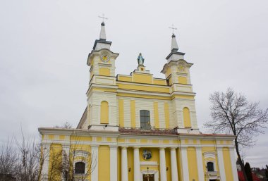 Zhytomyr, Ukrayna-24 Şubat 2019: Zhitomir 'deki St. Sophia Katedrali