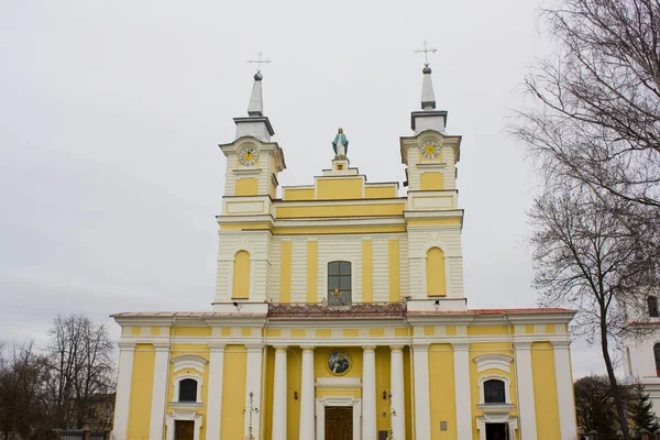 Żytomierz Ukraina Lutego 2019 Katedra Zofii Zhitomir — Zdjęcie stockowe