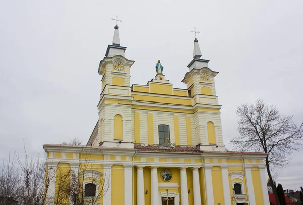 Zhytomyr, Ukrayna-24 Şubat 2019: Zhitomir 'deki St. Sophia Katedrali