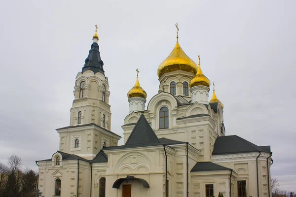 Zhytomyr Ukraine February 2019 Cross Exaltation Cathedral Zhytomyr — Stock Photo, Image