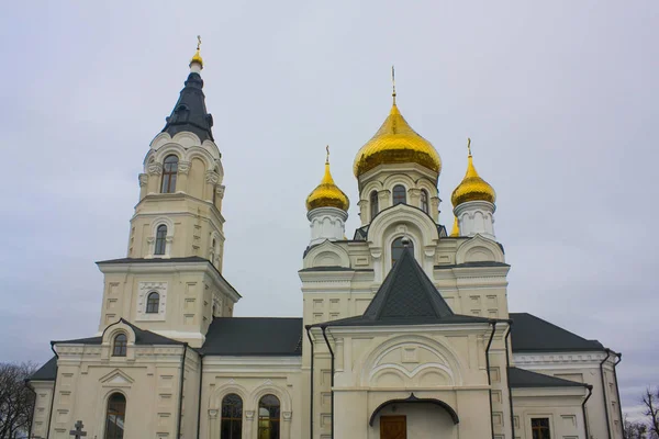 Zhytomyr Ουκρανία Φεβρουαρίου 2019 Καθεδρικός Ναός Σταυρού Υπερύψωσης Στο Zhytomyr — Φωτογραφία Αρχείου