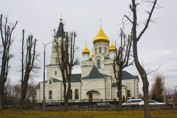 Zhytomyr Oekraïne Februari 2019 Cross Verheffing Kathedraal Zhytomyr — Stockfoto