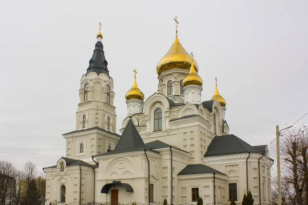 ジトーミル ウクライナ 2019 ジトーミルのクロス 高揚大聖堂 — ストック写真