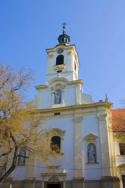 ブラチスラバ スロバキア 2019年4月1日 聖母マリアの訪問教会とブラチスラバの慈悲深い兄弟の修道院 — ストック写真