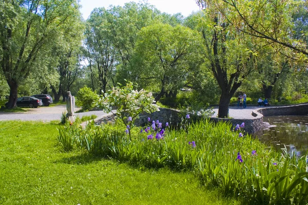 Radomysl Ukraine Mai 2019 Steinbrücke Auf Dem Wasser Park Des — Stockfoto