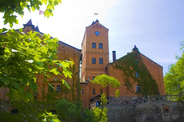 Radomysl, Ukrayna - 18 Mayıs 2019: Ukrayna'da Ünlü Radomysl Kalesi